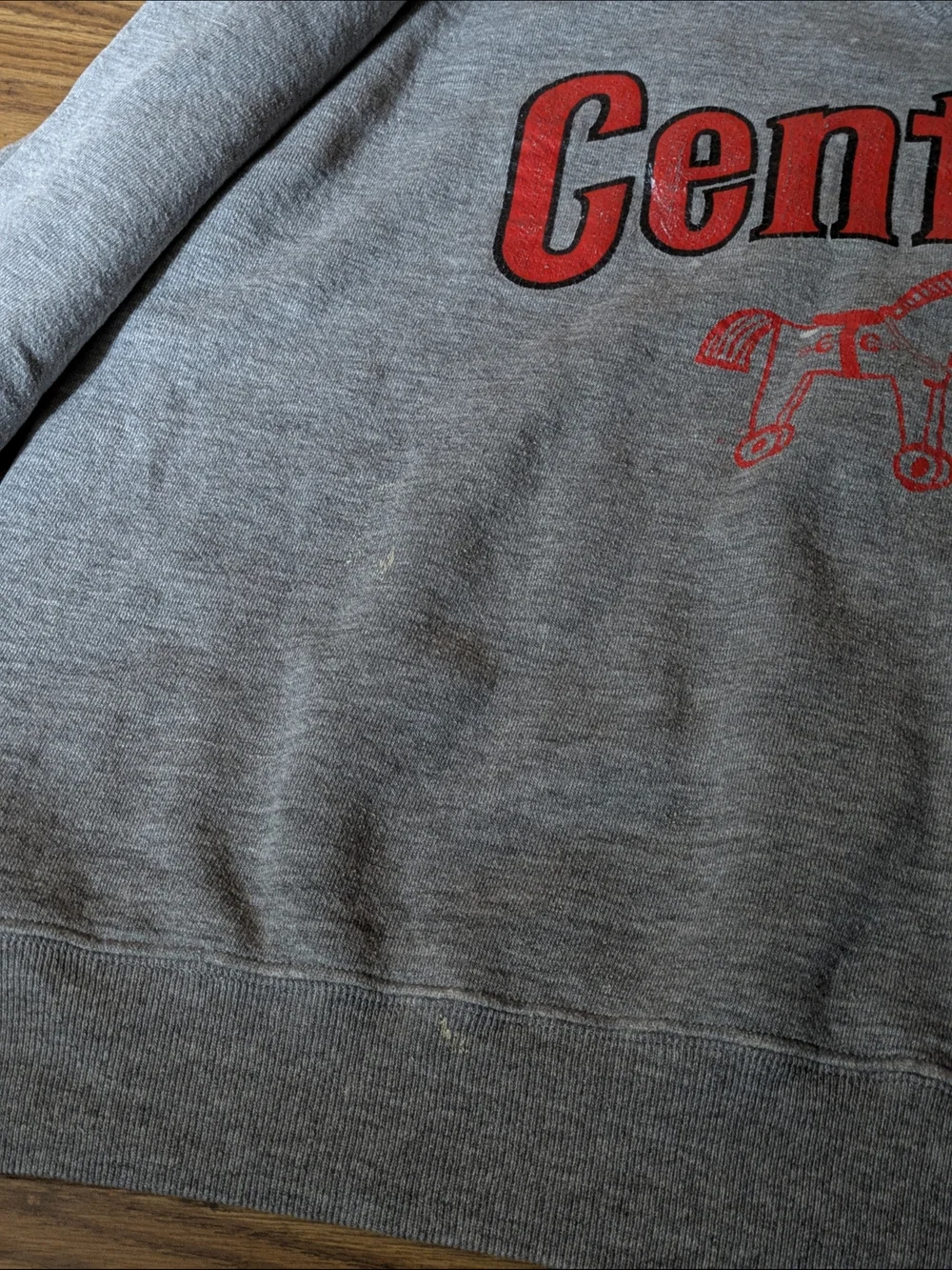 VTG 90s‎ Central Horse Graphic Crewneck - Distressed/Artisan Style 🐎